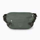 Osprey Transporter Waist Pack 3 l Kiefer Blatt Nierentasche