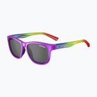 Tifosi Swank Regenbogen Glanz/Rauch Sonnenbrille