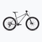 Kellys Gibon 05 29" Mondstein grau Mountainbike