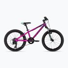 Kinderfahrrad Kellys Kiter 50 20" pink