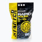 MIVARDI Rapid Boilies Starter Monster & Heilbutt Proteinkugeln 3,5 kg