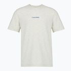 Calvin Klein Lifestyle Herren-T-Shirt in Schneeheide