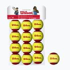 Wilson Starter Red Tballs Kinder-Tennisbälle 12 Stück gelb und rot WRT137100