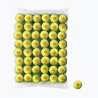 Wilson Starter Orange Tball Kinder-Tennisbälle 48 Stück gelb WRT13730B