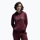 Hoodie Atomic RS Hoodie maroon