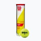 Wilson Champ Xd Tball Tennisbälle 4 Stück gelb WRT110000