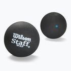 Wilson Staff Ball Blue Dot Squashbälle 12 Stück schwarz.