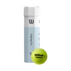 Wilson Triniti TBall Tennisbälle 4 Stück gelb WRT115200+