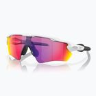 Sonnenbrille Kinder Oakley Radar EV XS Path matte white/prizm road