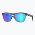 Oakley Frogskins Bereich matt schwarz/prizm Saphir Sonnenbrille