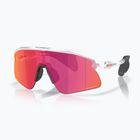 Sonnenbrille Oakley Stunt Devil matte clear/prizm field
