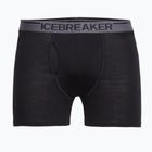 Herren Thermo-Boxershorts Icebreaker Anatomica wFly black