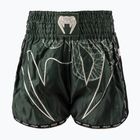 Herren-Trainingsshorts Venum Serpenti Muay Thai khaki/bronze/ivory