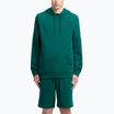 Hoodie Sweatshirt Herren Reebok Identity Small Logo Hoodie collegiate green