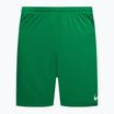 Herren Nike Dry-Fit Park III Fußball-Shorts grün BV6855-302