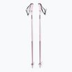 Skistöcke Salomon Polar heavenly pink