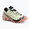 Damen-Laufschuhe Salomon Speedcross 6 GTX lime cream/mahogany rose/schwarz