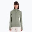 Icebreaker Damen-Trekkingjacke Merino 260 Quantum IV Zip Hoodie lichen