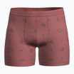 Thermoaktive Boxershorts icebreaker Merino150 Anatomica Boxers Explore More plume/aop