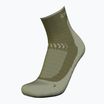 Trekking Socken Herren Icebreaker Merino Hike+ Light Mini loden/lichen