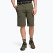 Herren Wandershorts The North Face Speedlight grün NF00A8SF21L1