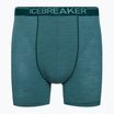 Icebreaker Anatomica Greenglory Herren Thermo-Boxershorts 103029