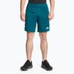 Herren Laufshorts The North Face MA Fleece blau NF0A823OES31