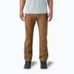 Herren Patagonia Terravia Trail Regular korianderbraune Trekkinghose