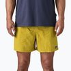 Patagonia Herren Shorts Baggies 5" Bündel grün