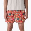 Patagonia Männer Shorts Baggies 5" wrasse/Bestäuber orange