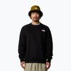 Hoodie Sweatshirt Herren The North Face Raglan Box Nse Crew tnf black