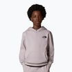 Hoodie Sweatshirt Kinder The North Face Teen Simple Dome Hoodie moonstone grey