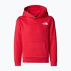 Kinder Sweatshirt The North Face Teen Simple Dome Hoodie Hibiskus