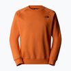 Hoodie Sweatshirt Herren The North Face Raglan Box Nse Crew iron bronze/tnf black