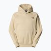 Hoodie Sweatshirt Herren The North Face Raglan Box Nse Hoodie gravel/smokey brown