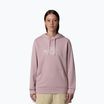 Hoodie Sweatshirt Damen The North Face Drew Peak Light Hoodie metali pink/white dune