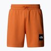 Trekking Shorts Herren The North Face Box Nse Regular iron bronze/tnf bronze