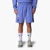 The North Face Mountain Cleanup Entspannt virtuelle blaue Shorts