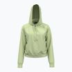 Damen Under Armour Pro Fleece Hoodie retro grün/weiß