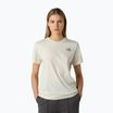 The North Face Frauen Box Nse entspannt weiß dune / Schiefer Moos t-shirt