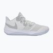 Nike Zoom Hyperspeed Court SE Schuhe smmit Weiß/Metallic Silber/Reines Platin