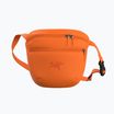 Arc'teryx Mantis 2 2,5 l Verve-Beutel