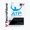 Tecnifibre Contact Pro Tennisschlägerhüllen 3 Stück weiß 52ATPCONWH