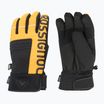 Skihandschuhe Herren Rossignol Speed Impr sunburst