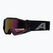 Alpina-Sonnenbrille