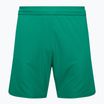 Capelli Sport Cs One Adult Match grün/weiß Kinder Fußball-Shorts