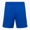 Capelli Sport Cs One Adult Match Fußball-Shorts königsblau/weiß