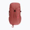 Touristischer Rucksack Kinder deuter Climber 22 l redwood/hibiscus