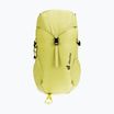Touristischer Rucksack Kinder deuter Climber 22 l sprout/linden