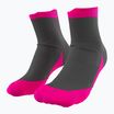 DYNAFIT Transalper rosa-graue Laufsocken 08-0000071525